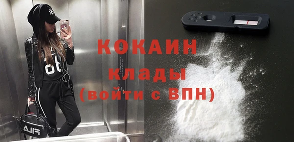 кокс Белокуриха