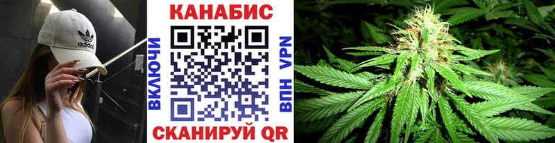 Конопля VHQ  Светогорск 